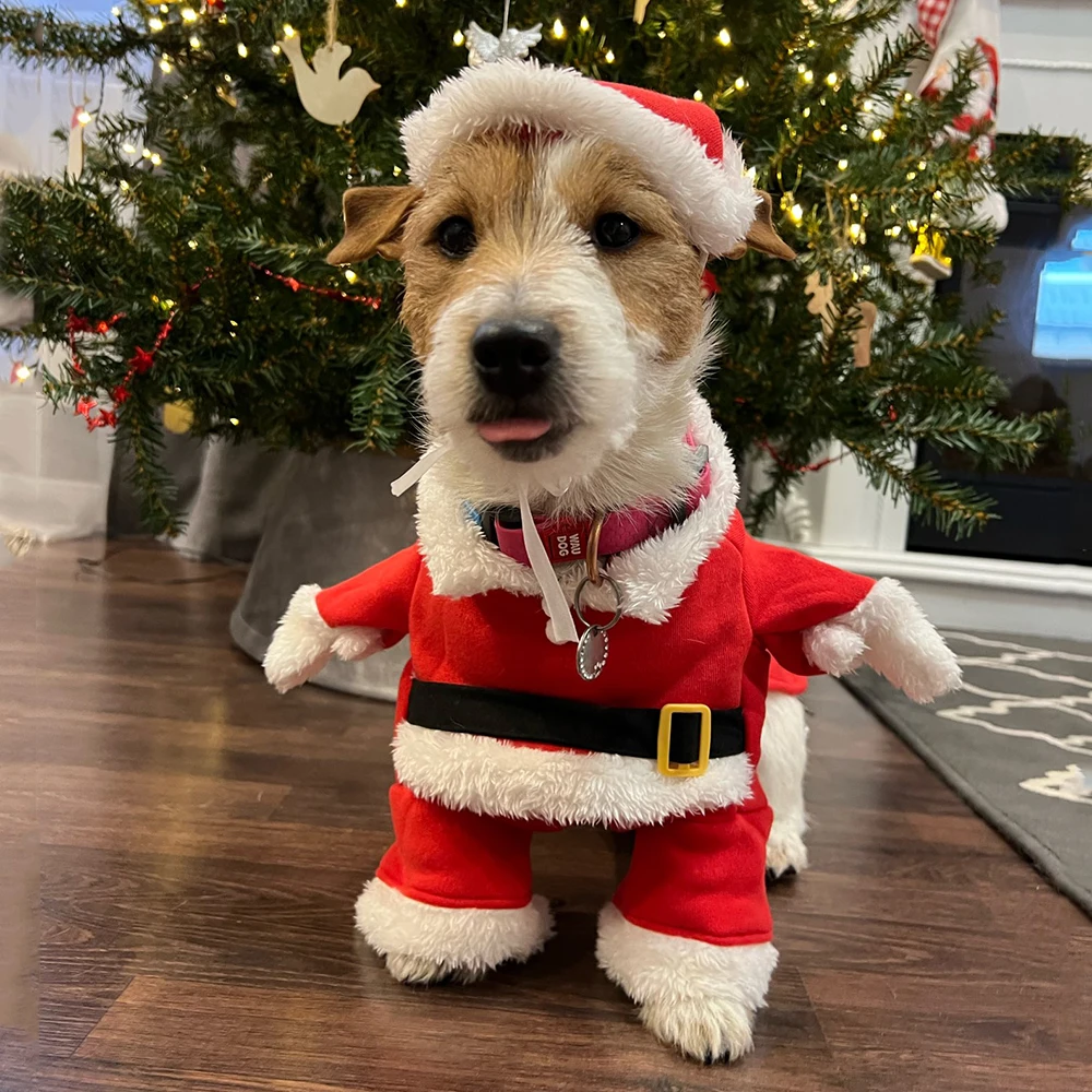 Winter Clothing Dress Up - Christmas Clothes For Dogs Cats New