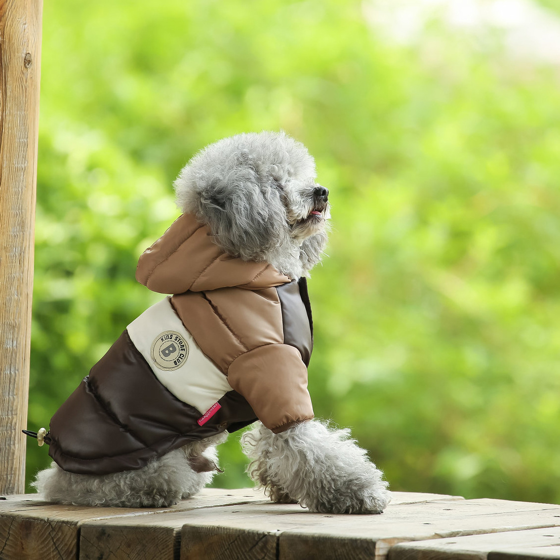 Pet Vest Pet Supplies Winter C - Winter Clothing Options review and price